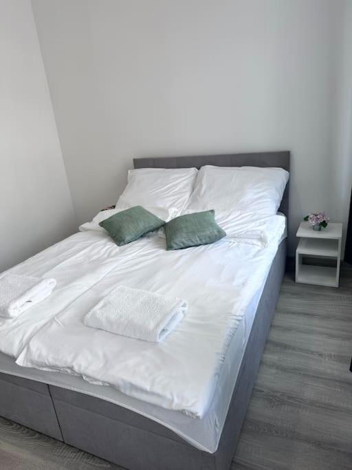 Przytulny Apartament Apartment Szczecinek Ngoại thất bức ảnh